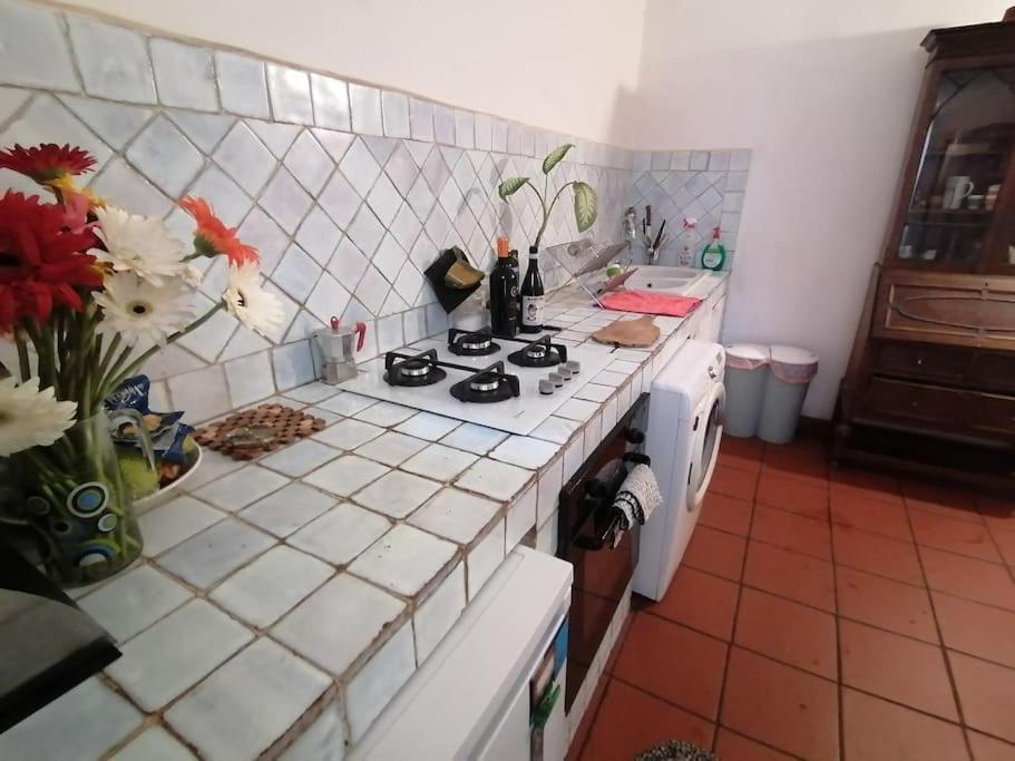La Tua Casa A Trastevere Ρώμη Εξωτερικό φωτογραφία